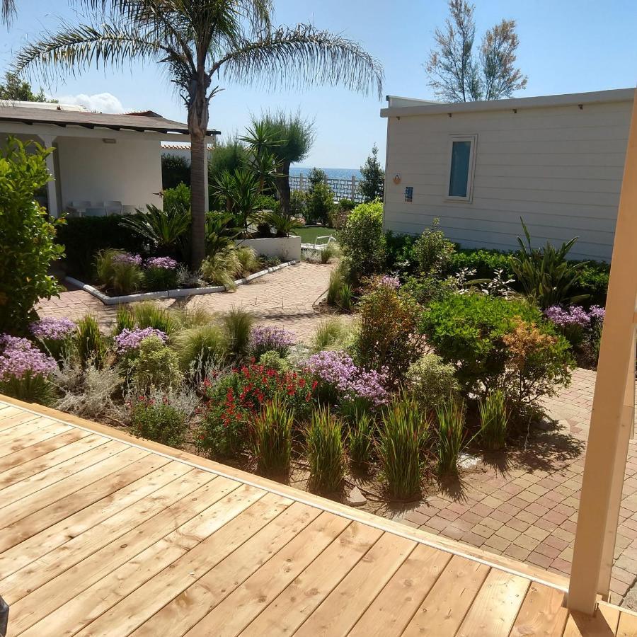 Le Palme Village แตร์ราชินา ภายนอก รูปภาพ
